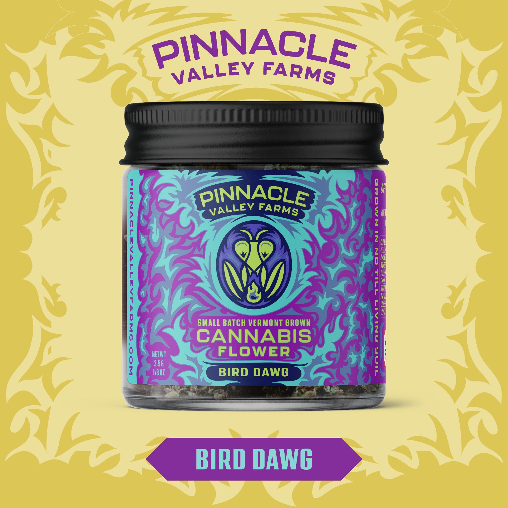 learn more about Bird Dawg