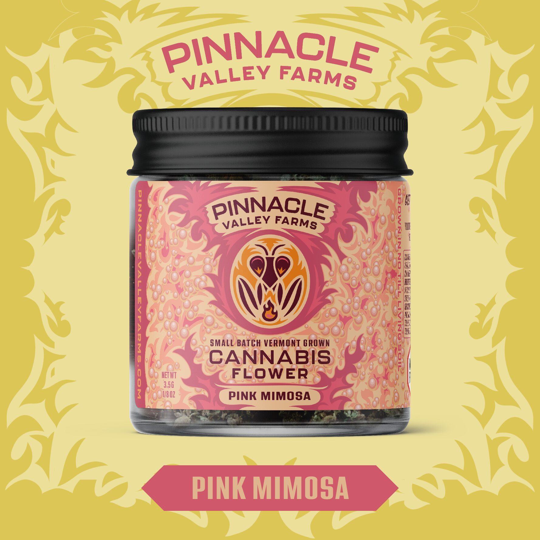 learn more about Pink Mimosa