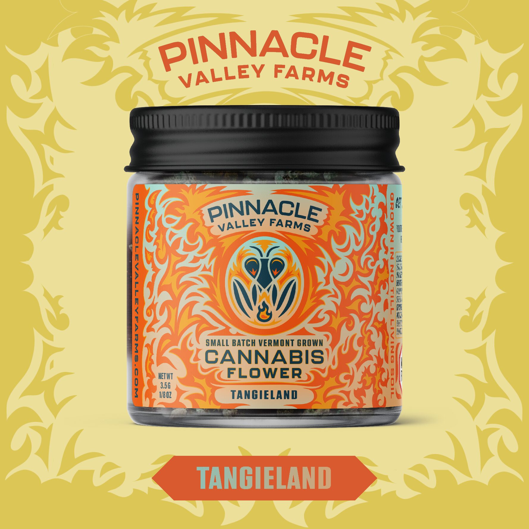 learn more about TangieLand