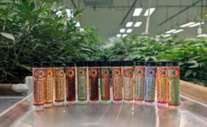 PVF special edition pre-rolls