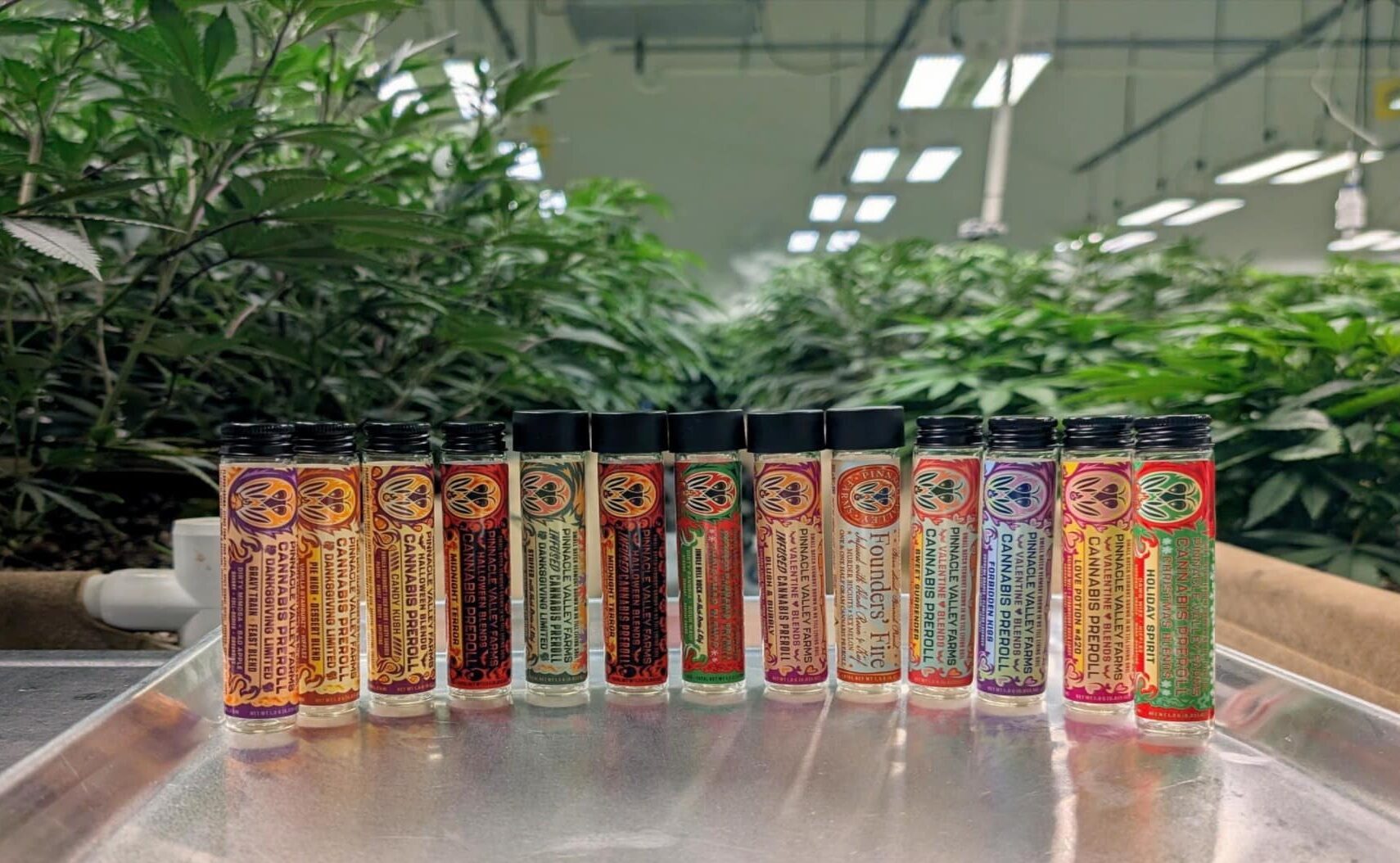 PVF special edition pre-rolls