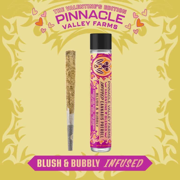 learn more about Blush & Bubbly Infused