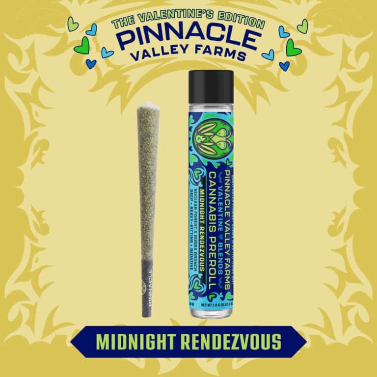 learn more about Midnight Rendezvous
