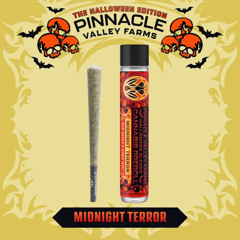 learn more about Midnight Terror