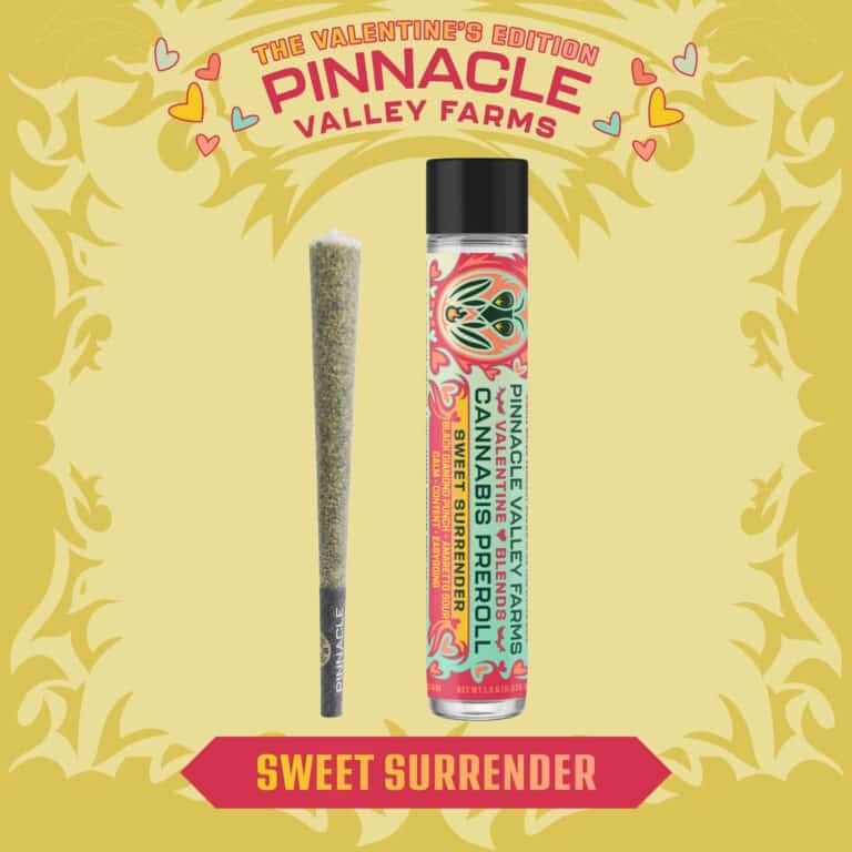 learn more about Sweet Surrender